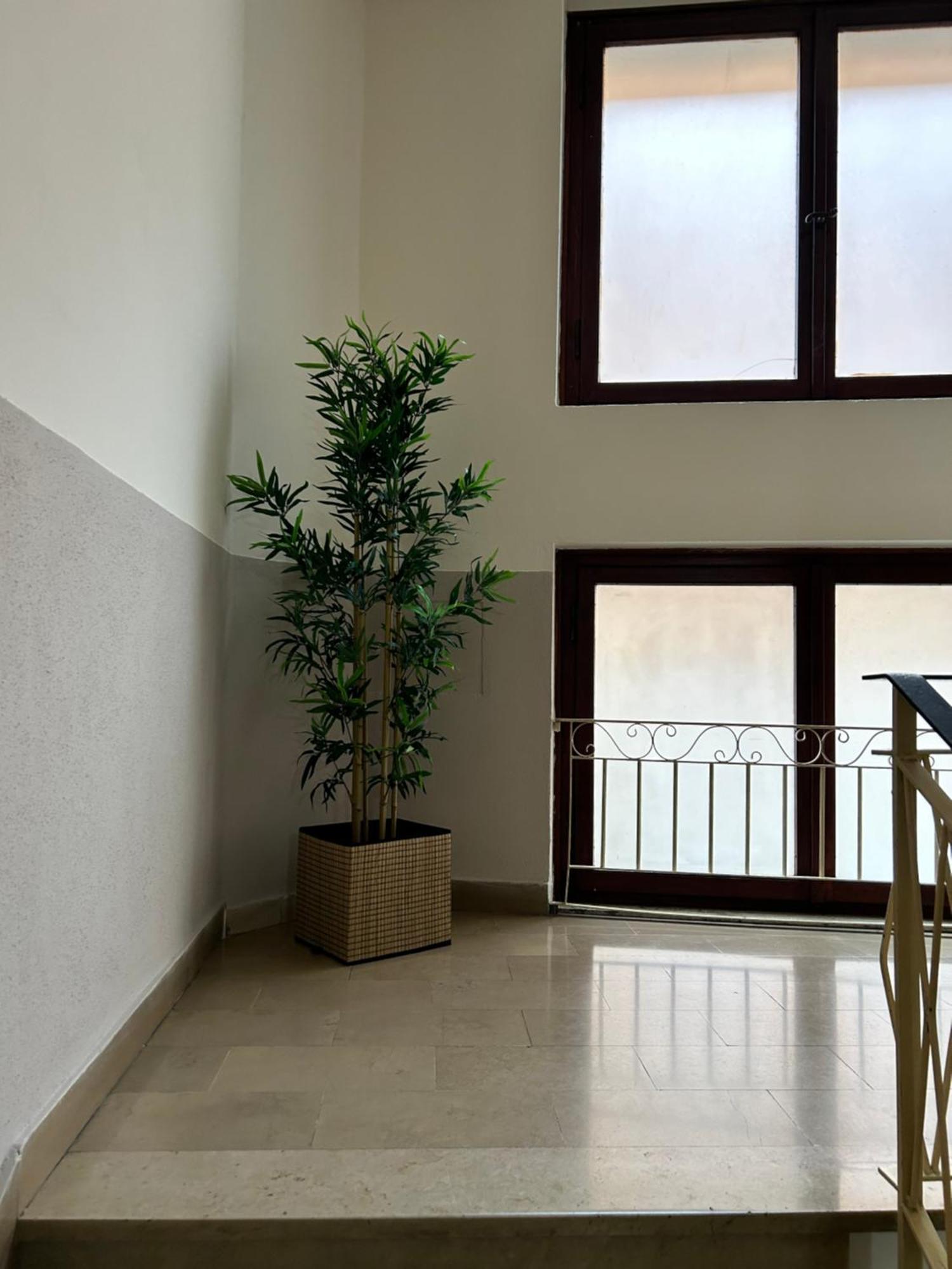 Hotel Cecile Pisa Luaran gambar